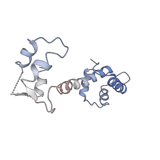 30067_6m2w_C_v1-1
Structure of RyR1 (Ca2+/Caffeine/ATP/CaM1234/CHL)