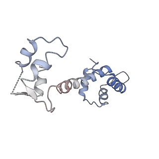 30067_6m2w_C_v1-2
Structure of RyR1 (Ca2+/Caffeine/ATP/CaM1234/CHL)