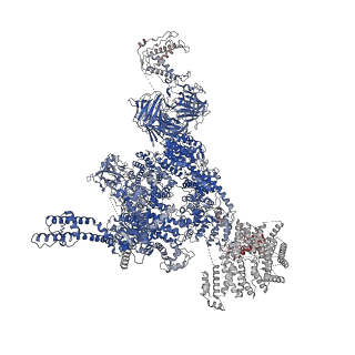 30067_6m2w_D_v1-1
Structure of RyR1 (Ca2+/Caffeine/ATP/CaM1234/CHL)