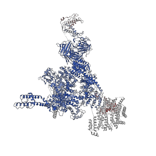 30067_6m2w_D_v1-2
Structure of RyR1 (Ca2+/Caffeine/ATP/CaM1234/CHL)