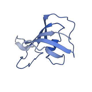 30067_6m2w_E_v1-1
Structure of RyR1 (Ca2+/Caffeine/ATP/CaM1234/CHL)