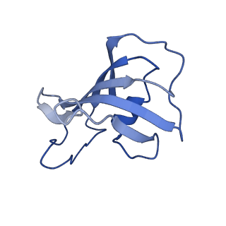 30067_6m2w_E_v1-2
Structure of RyR1 (Ca2+/Caffeine/ATP/CaM1234/CHL)