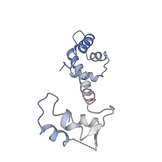 30067_6m2w_F_v1-1
Structure of RyR1 (Ca2+/Caffeine/ATP/CaM1234/CHL)