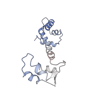 30067_6m2w_F_v1-2
Structure of RyR1 (Ca2+/Caffeine/ATP/CaM1234/CHL)