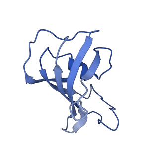 30067_6m2w_H_v1-1
Structure of RyR1 (Ca2+/Caffeine/ATP/CaM1234/CHL)