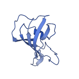 30067_6m2w_H_v1-2
Structure of RyR1 (Ca2+/Caffeine/ATP/CaM1234/CHL)