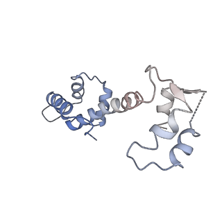 30067_6m2w_I_v1-2
Structure of RyR1 (Ca2+/Caffeine/ATP/CaM1234/CHL)