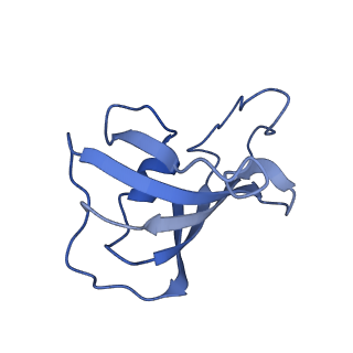 30067_6m2w_K_v1-1
Structure of RyR1 (Ca2+/Caffeine/ATP/CaM1234/CHL)