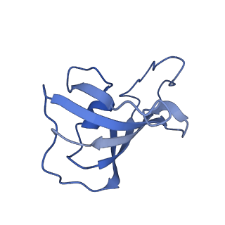 30067_6m2w_K_v1-2
Structure of RyR1 (Ca2+/Caffeine/ATP/CaM1234/CHL)