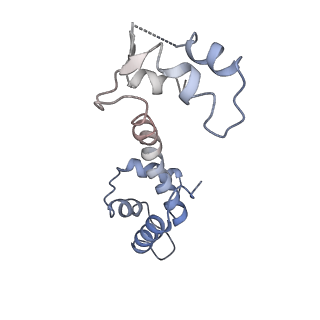 30067_6m2w_L_v1-2
Structure of RyR1 (Ca2+/Caffeine/ATP/CaM1234/CHL)