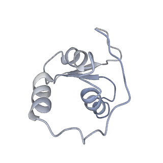 23640_7m30_B_v1-1
Cryo-EM structure of the HCMV pentamer bound by antibodies 1-103, 1-32 and 2-25
