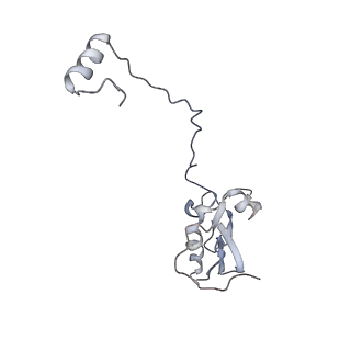 23640_7m30_C_v1-1
Cryo-EM structure of the HCMV pentamer bound by antibodies 1-103, 1-32 and 2-25