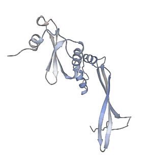 23640_7m30_D_v1-1
Cryo-EM structure of the HCMV pentamer bound by antibodies 1-103, 1-32 and 2-25