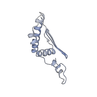 23640_7m30_E_v1-1
Cryo-EM structure of the HCMV pentamer bound by antibodies 1-103, 1-32 and 2-25