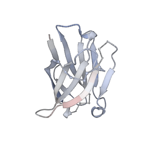 23640_7m30_F_v1-1
Cryo-EM structure of the HCMV pentamer bound by antibodies 1-103, 1-32 and 2-25