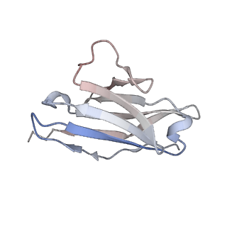 23640_7m30_G_v1-1
Cryo-EM structure of the HCMV pentamer bound by antibodies 1-103, 1-32 and 2-25
