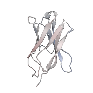 23640_7m30_H_v1-1
Cryo-EM structure of the HCMV pentamer bound by antibodies 1-103, 1-32 and 2-25