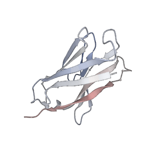 23640_7m30_M_v1-1
Cryo-EM structure of the HCMV pentamer bound by antibodies 1-103, 1-32 and 2-25