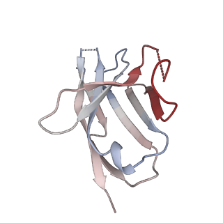 23640_7m30_N_v1-1
Cryo-EM structure of the HCMV pentamer bound by antibodies 1-103, 1-32 and 2-25