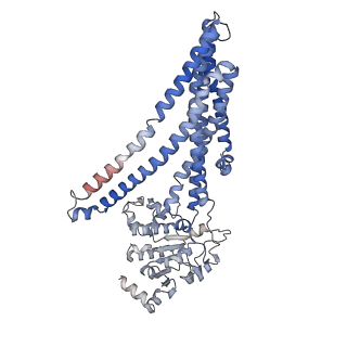 23641_7m33_C_v1-3
The structure of Bacillus subtilis BmrCD in the inward-facing conformation bound to Hoechst-33342 and ATP