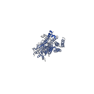 23652_7m3e_A_v1-2
Asymmetric Activation of the Calcium Sensing Receptor Homodimer