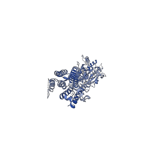 23652_7m3e_B_v1-2
Asymmetric Activation of the Calcium Sensing Receptor Homodimer