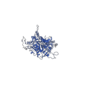 23654_7m3g_A_v1-2
Asymmetric Activation of the Calcium Sensing Receptor Homodimer
