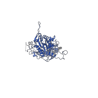 23655_7m3j_A_v1-2
Asymmetric Activation of the Calcium Sensing Receptor Homodimer