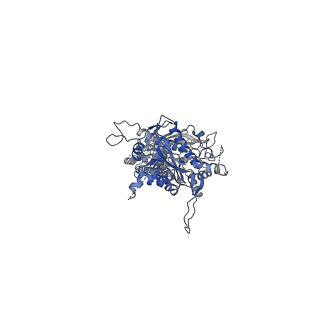 23655_7m3j_B_v1-2
Asymmetric Activation of the Calcium Sensing Receptor Homodimer