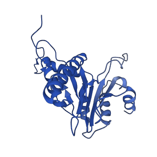 4146_5m32_A_v1-3
Human 26S proteasome in complex with Oprozomib