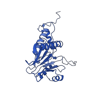 4146_5m32_B_v1-3
Human 26S proteasome in complex with Oprozomib
