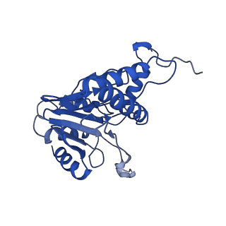 4146_5m32_C_v1-3
Human 26S proteasome in complex with Oprozomib