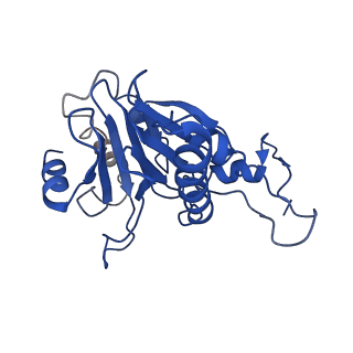 4146_5m32_D_v1-3
Human 26S proteasome in complex with Oprozomib