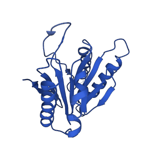 4146_5m32_J_v1-3
Human 26S proteasome in complex with Oprozomib
