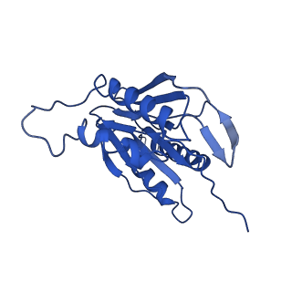 4146_5m32_L_v1-3
Human 26S proteasome in complex with Oprozomib