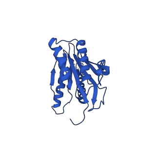 4146_5m32_M_v1-3
Human 26S proteasome in complex with Oprozomib