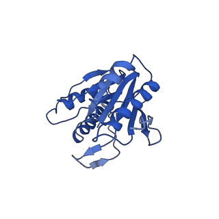 4146_5m32_N_v1-3
Human 26S proteasome in complex with Oprozomib