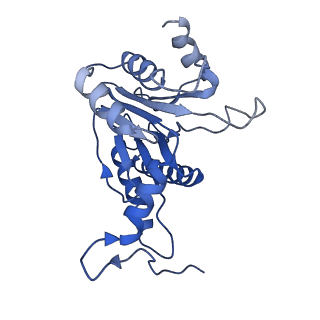 4146_5m32_O_v1-3
Human 26S proteasome in complex with Oprozomib