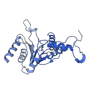 4146_5m32_Q_v1-3
Human 26S proteasome in complex with Oprozomib
