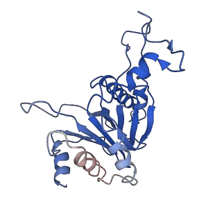 4146_5m32_R_v1-3
Human 26S proteasome in complex with Oprozomib