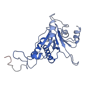 4146_5m32_U_v1-3
Human 26S proteasome in complex with Oprozomib