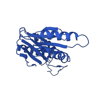 4146_5m32_X_v1-3
Human 26S proteasome in complex with Oprozomib