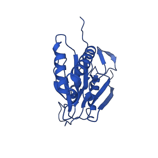 4146_5m32_Z_v1-3
Human 26S proteasome in complex with Oprozomib