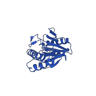 4146_5m32_b_v1-3
Human 26S proteasome in complex with Oprozomib