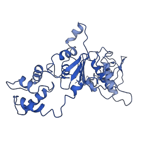 4146_5m32_c_v1-3
Human 26S proteasome in complex with Oprozomib