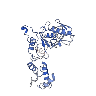 4146_5m32_d_v1-3
Human 26S proteasome in complex with Oprozomib