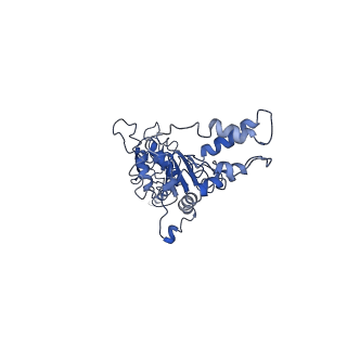 4146_5m32_e_v1-3
Human 26S proteasome in complex with Oprozomib
