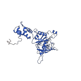 4146_5m32_g_v1-3
Human 26S proteasome in complex with Oprozomib
