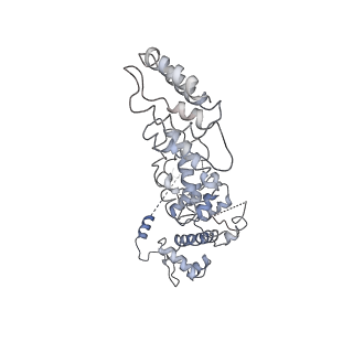 4146_5m32_k_v1-3
Human 26S proteasome in complex with Oprozomib