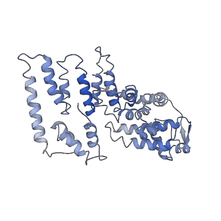 4146_5m32_m_v1-3
Human 26S proteasome in complex with Oprozomib